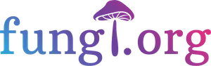 Learn to grow magic mushrooms