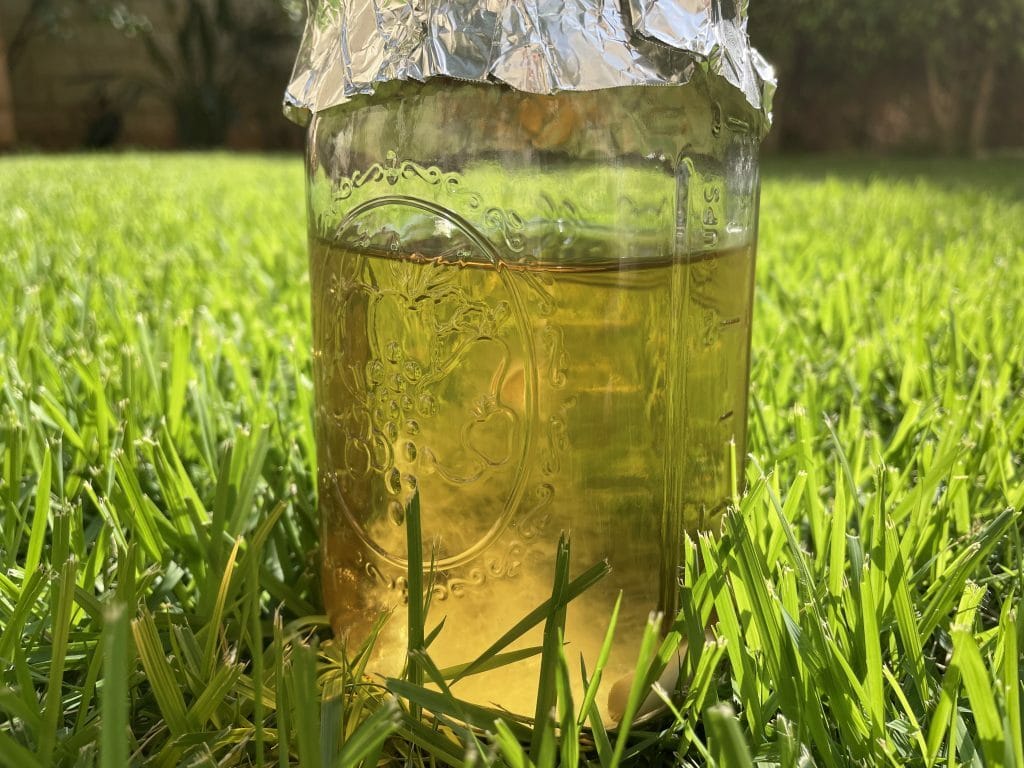 How to Make Mushroom Liquid Culture In Mason Jars