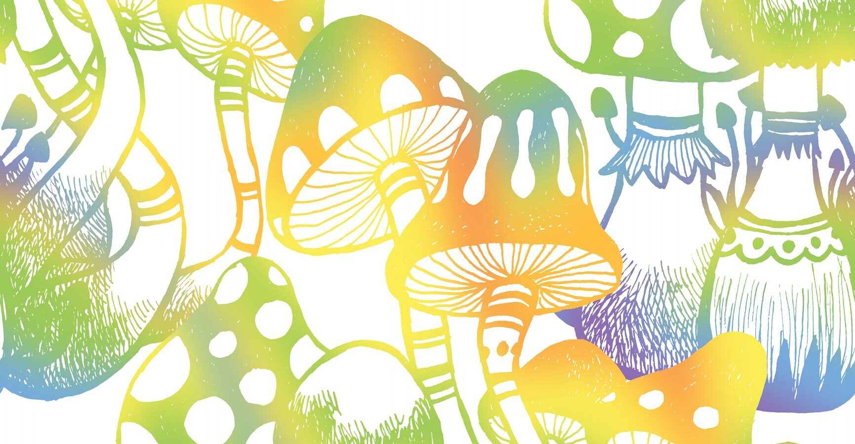 Understanding the magic of the mushrooms